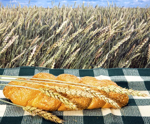 Wheat and bread — Stock Photo, Image