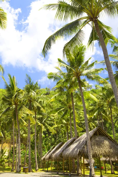 印度尼西亚。巴厘岛。在棕榈树下小屋 — 图库照片