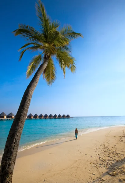 Palma su sfondo di oceano e silhouette di ragazza su sabbia, maldive — Foto Stock