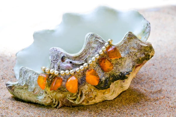 Екзотична морська раковина з бісером лежить на піску — стокове фото