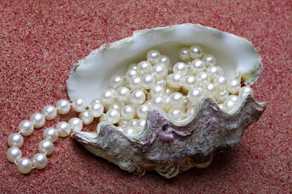 The exotic sea shell with a pearl beads lies on red sand — Stock Photo, Image