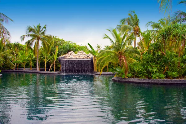 Maledivy. bazén s malým pádu v tropické zahradě. — Stock fotografie