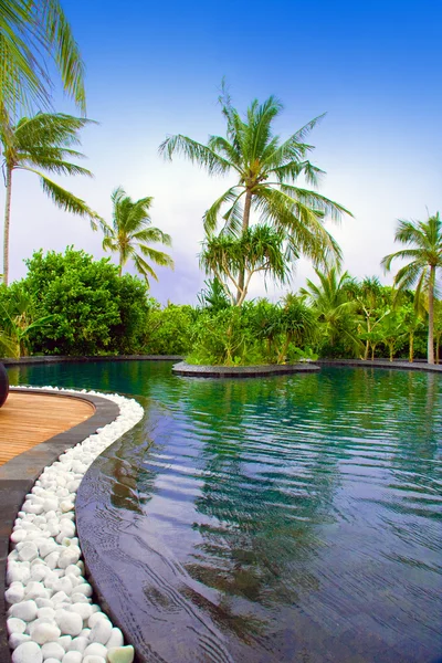 Maldiven. zwembad in een tropische tuin. — Stockfoto