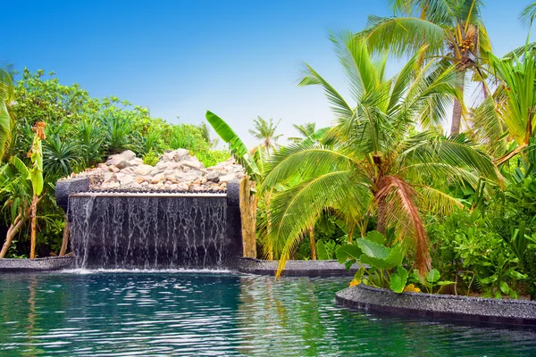 Maldiven. zwembad met kleine vallen in tropische tuin. — Stockfoto