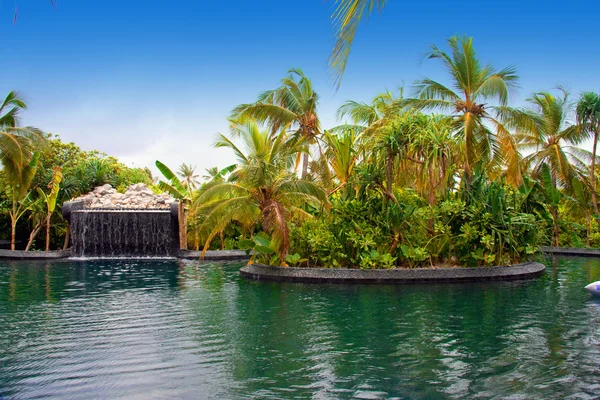 马尔代夫。与小秋天在热带花园游泳池. — 图库照片