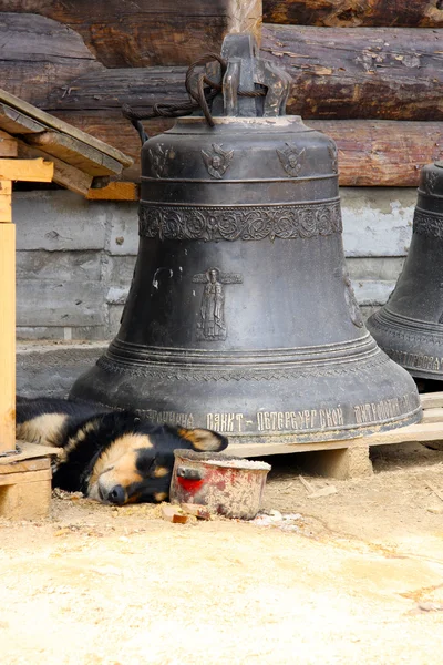 Dog protects bells.Wooden orthodox church in name of Cover All-holy mother — Stock Photo, Image