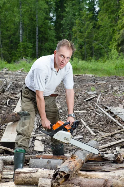 Der Mann im Holz sägt einen Baum mit einer Kettensäge — Stockfoto
