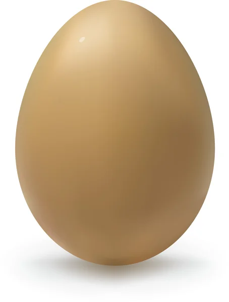 ベクトルの卵 — ストックベクタ