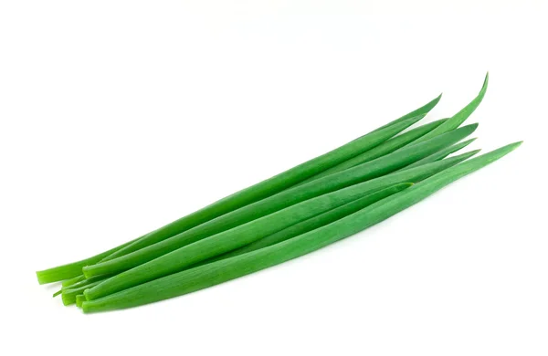 Zielona cebula — Zdjęcie stockowe