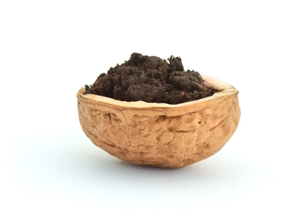 Wallnut shell with soil — Stock Photo, Image