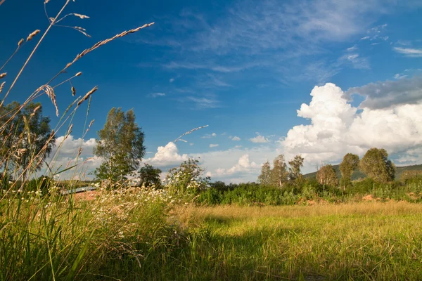Céu azul sobre campo verde — Fotografia de Stock
