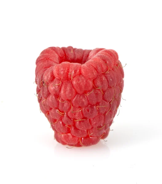 Rastberry — Stok fotoğraf