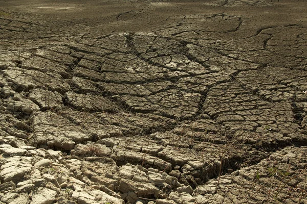 stock image Cracked Earth