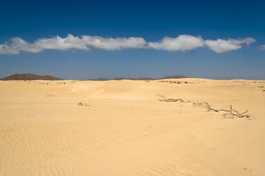 Dunes in the Fuerteventura desert clipart