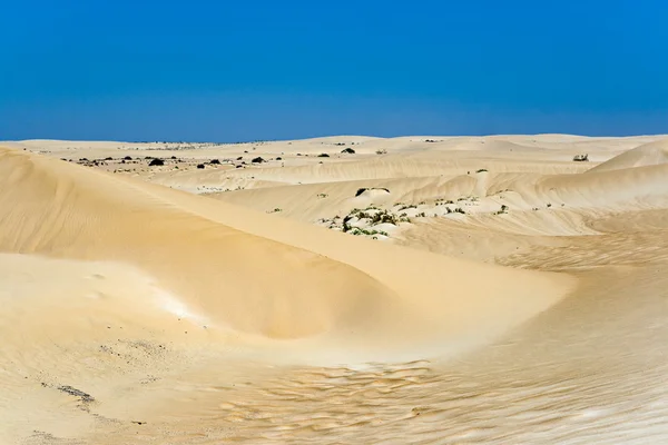 Dunes dans le désert de Fuerteventura — Photo