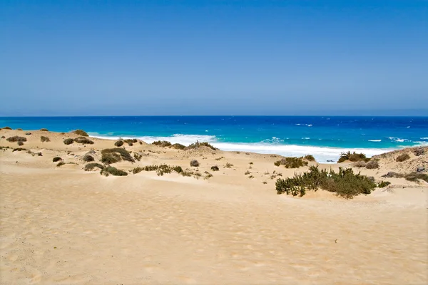 Praia em Fuerteventura — Fotografia de Stock