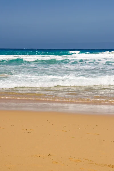 Pláž na ostrově fuerteventura — Stock fotografie