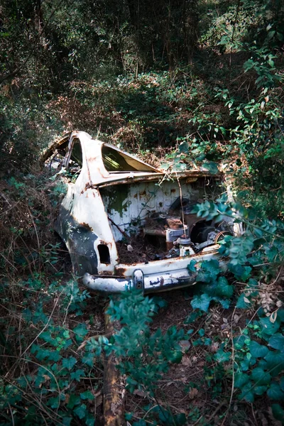 stock image Old abandoned car in the green nature