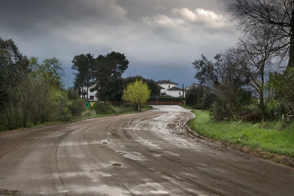 Kronkelende landweg na de regen — Stockfoto