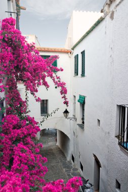 Typical street in Cadaques clipart