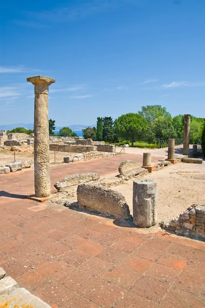 stock image Empuries Roman ruins, Costa Brava (Spain)