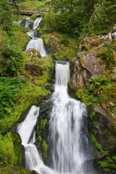 As cachoeiras de Triberg na Floresta Negra, Alemanha — Fotografia de Stock