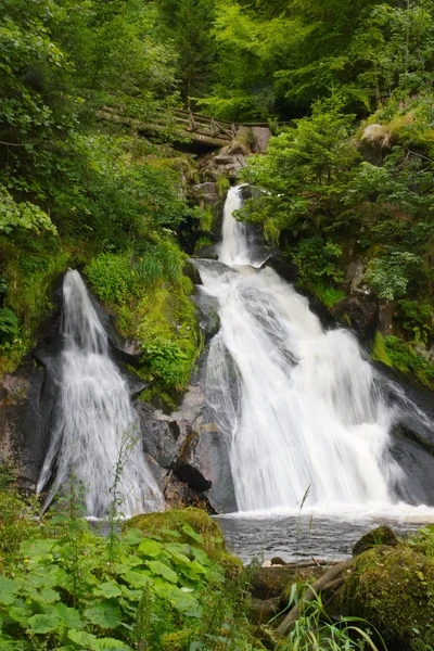 Triberg vodopády v černém lese, Německo — Stock fotografie