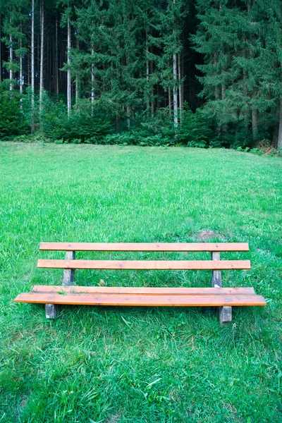 stock image Bench in a nature park in the Black Forest, Germany