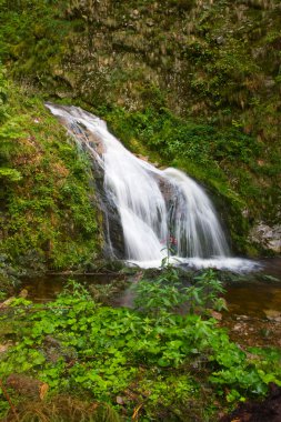 The Triberg waterfalls in the Black Forest, Germany clipart