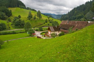 Beautiful landscape in the Black forest, Germany clipart