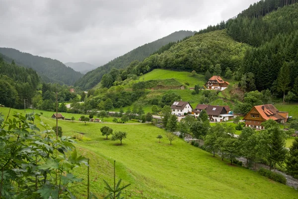Gyönyörű táj, a Fekete-erdő, Németország — Stock Fotó
