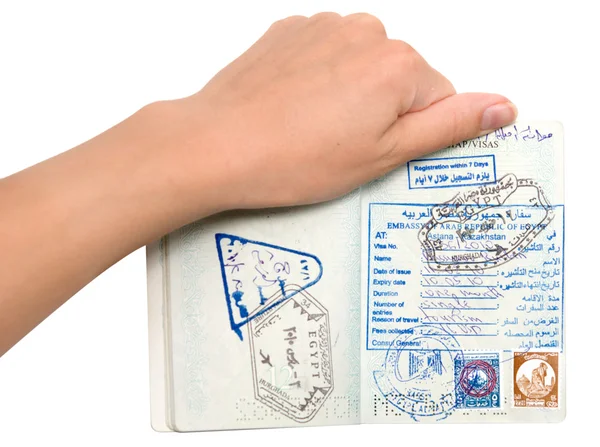 stock image Passport in a hand