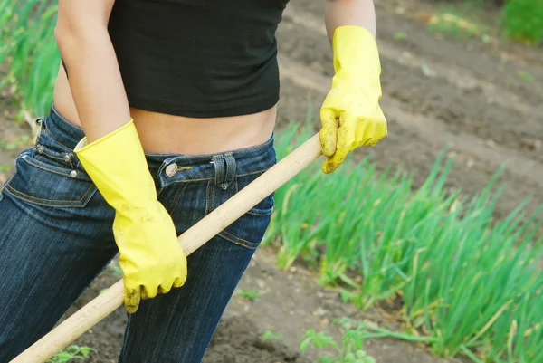 stock image Gardening