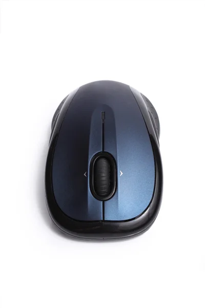 stock image Mouse