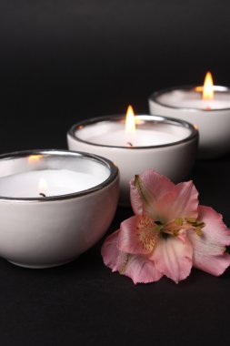 Candles clipart