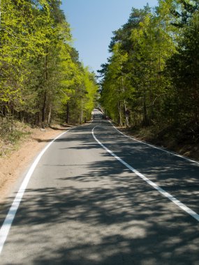 Sargı road2