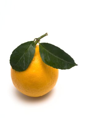 limon