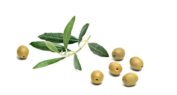 Olive fruits and twig — Stock Photo, Image