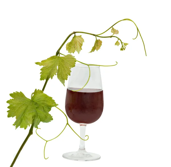 Goblet met rode wijn — Stockfoto