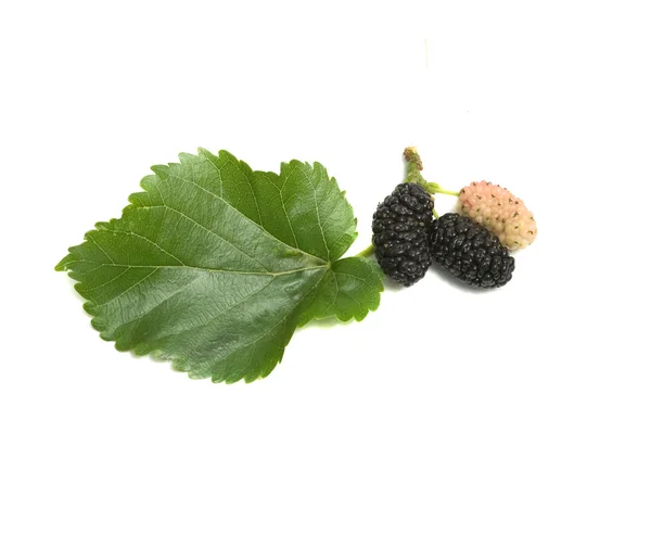 Black mulberries — Stock Photo, Image