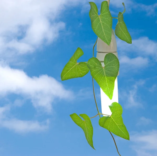 Úsporná lampa s zelených rostlin jako symbol — Stock fotografie