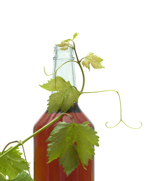 グレープバインと赤ワインのボトル — ストック写真