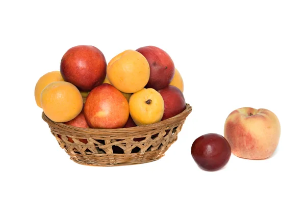 Apricots, nectarines and peaches — Stock Photo, Image