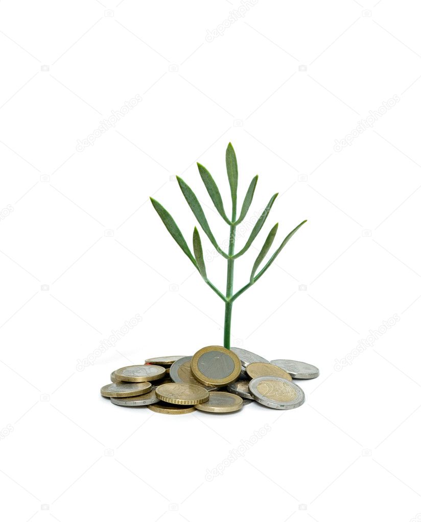 Tree growing from pile of coins