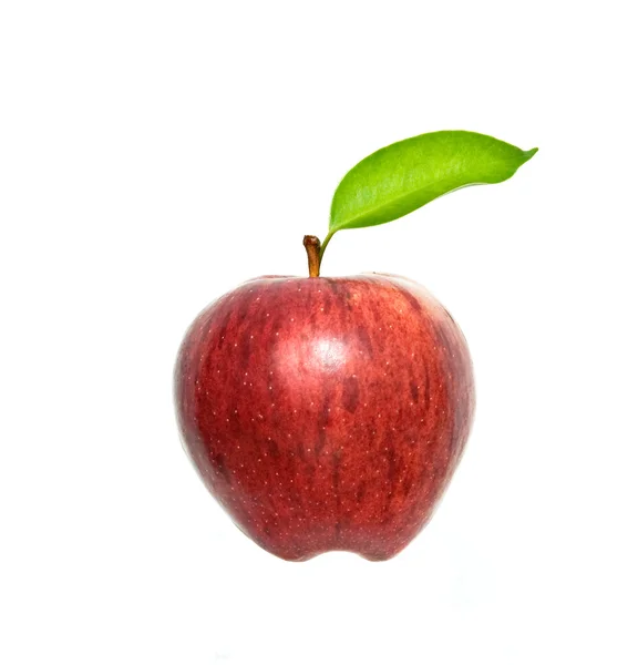 被白色背景隔离的苹果 — 图库照片