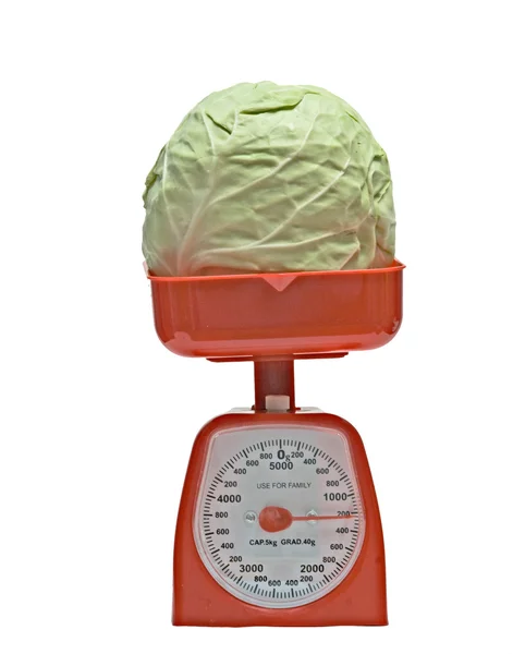 Kitchen scale weighting cabbage — Stock Photo, Image
