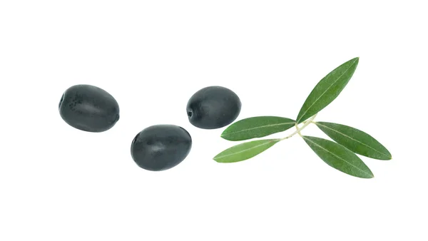 Оливковые фрукты на белом фоне — стоковое фото