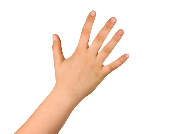 Mão isolada sobre fundo branco — Fotografia de Stock
