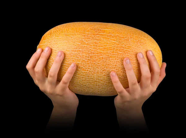 Meloni käsissä eristetty mustalla pohjalla — kuvapankkivalokuva