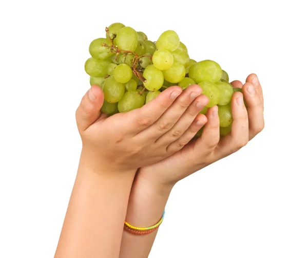 Vinná réva jako dar zemědělství — Stock fotografie
